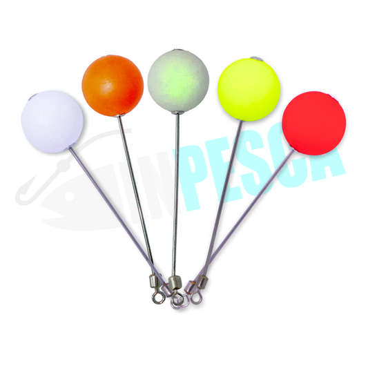 Asta Innesco Singola - Polpara Tako