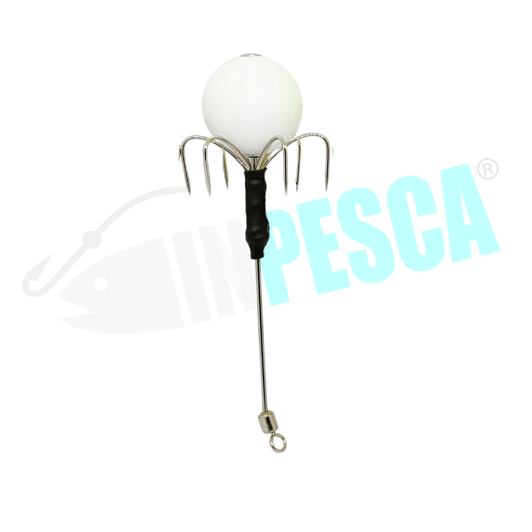 Asta Ferrante singola - Polpara Tako