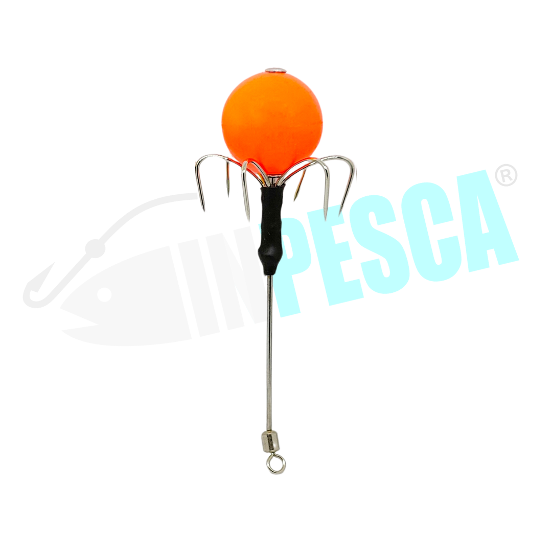 Asta Ferrante singola - Polpara Tako