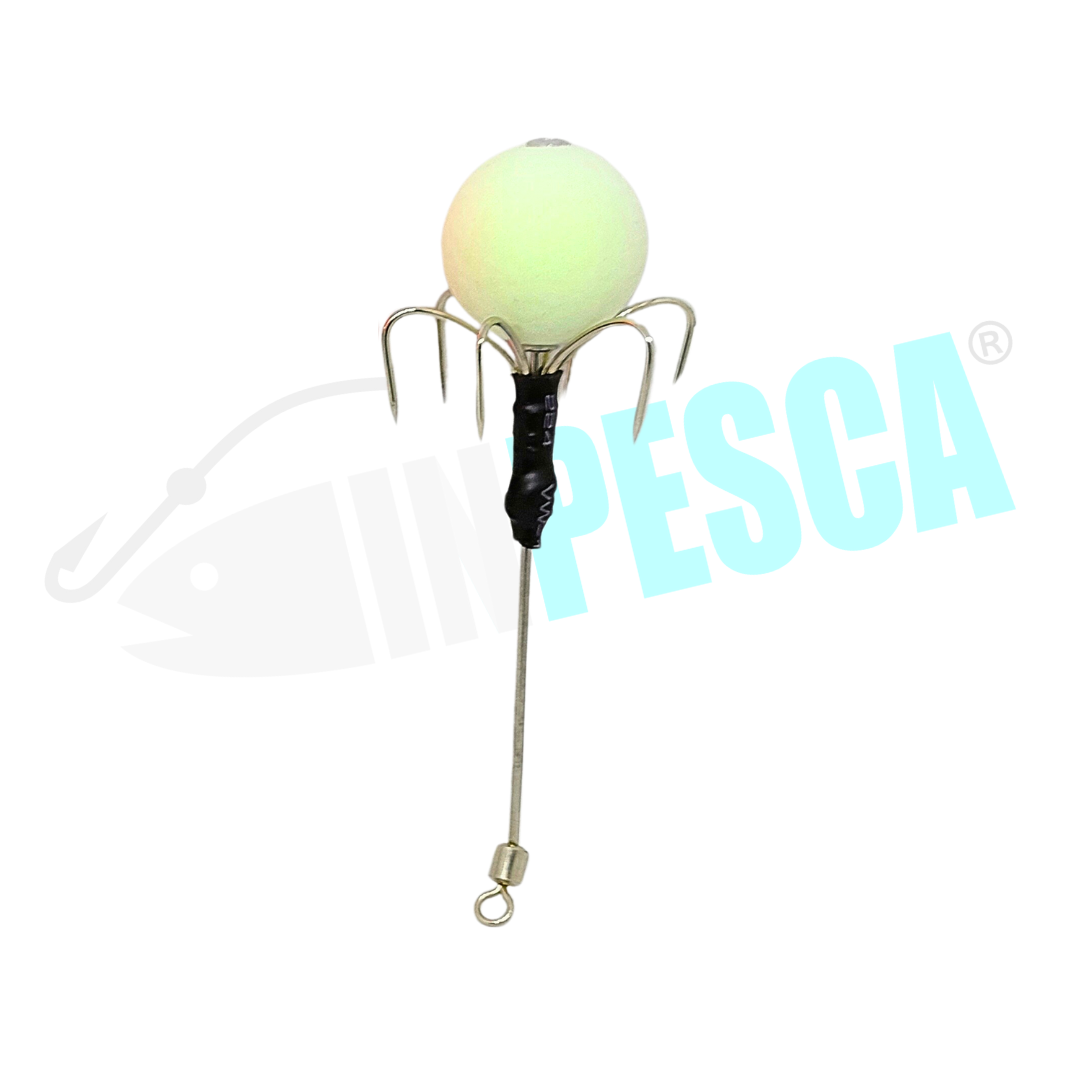 Asta Ferrante singola - Polpara Tako