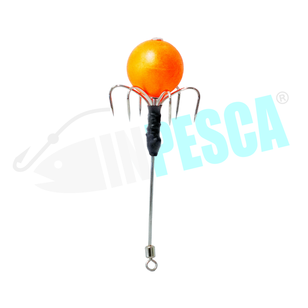 Asta Ferrante singola - Polpara Tako