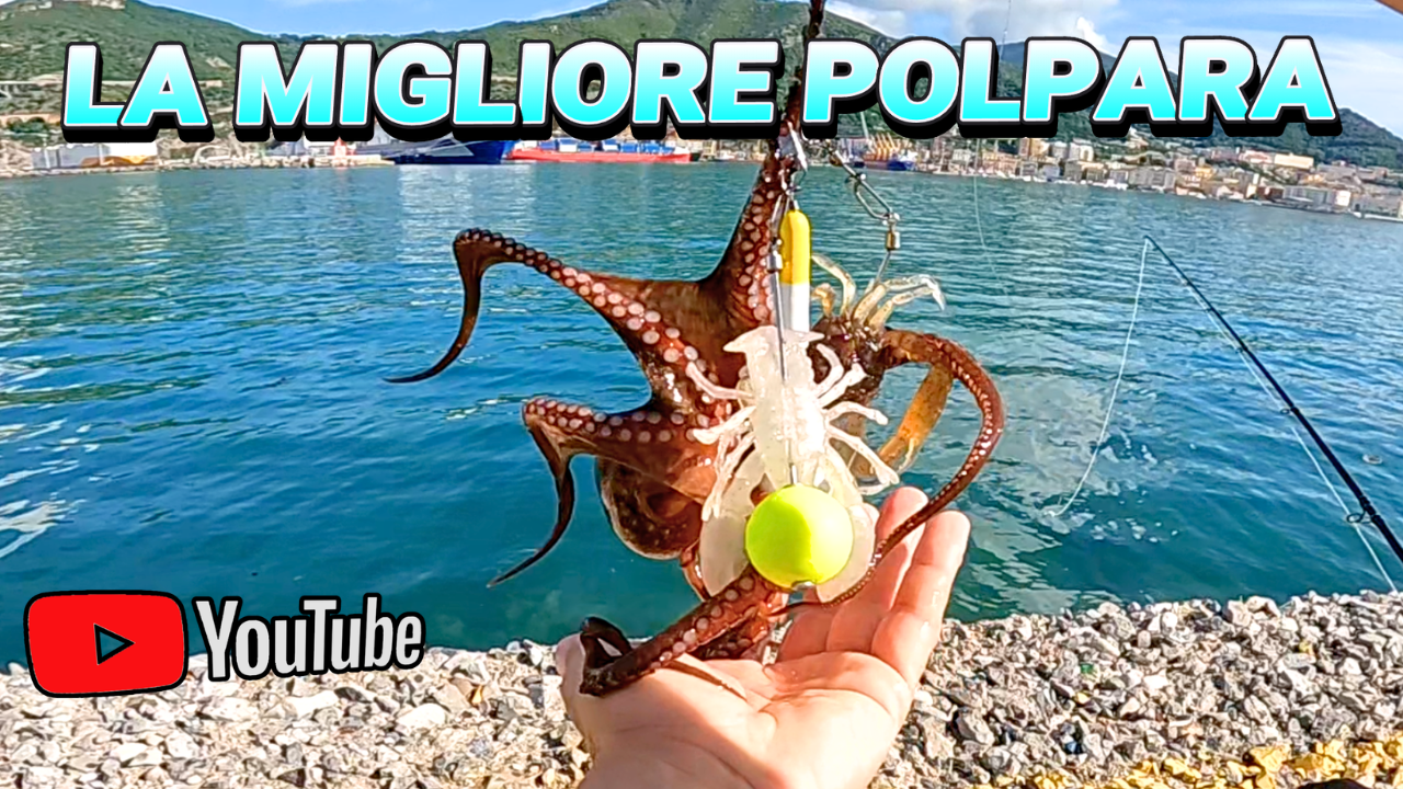 Carica il video: 