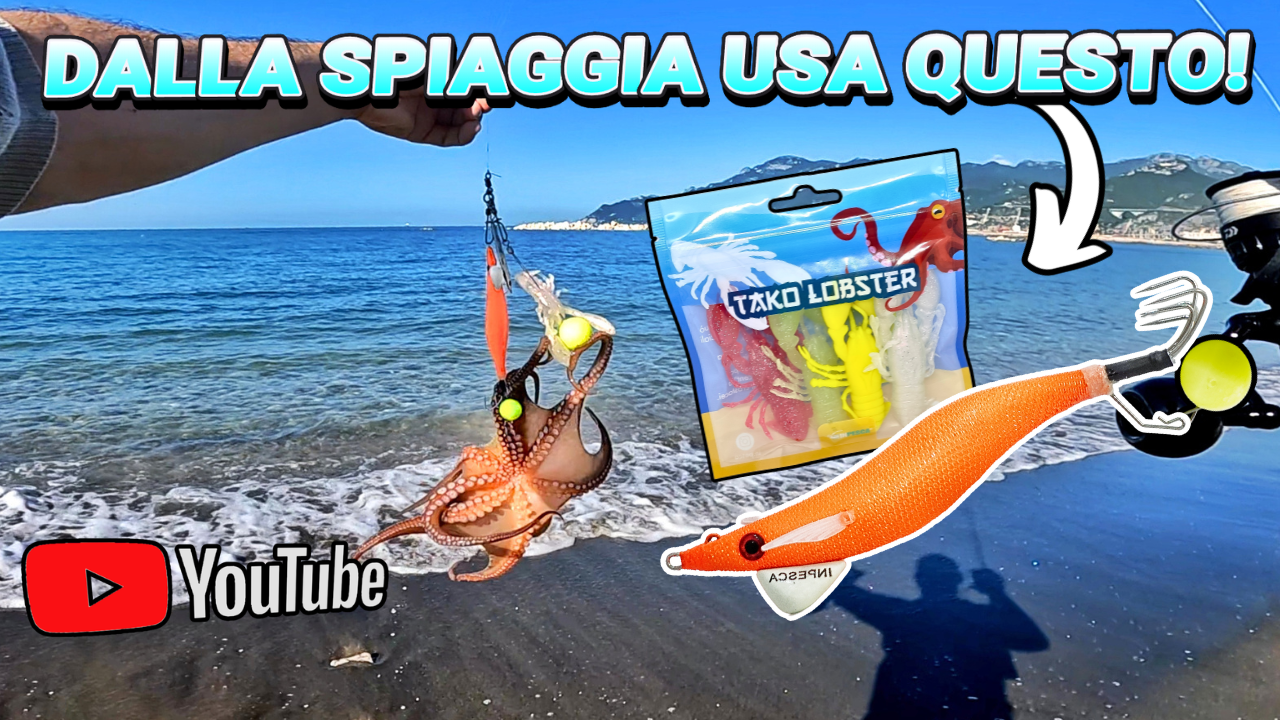 Carica il video: 